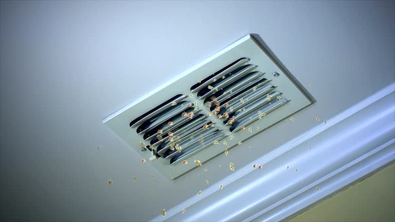 Best Emergency Air Duct Cleaning  in Whiteland, IN