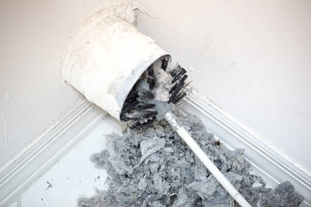 Best Local Air Duct Cleaning Services  in Whiteland, IN